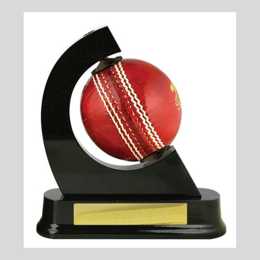 Cricket Ball Holder