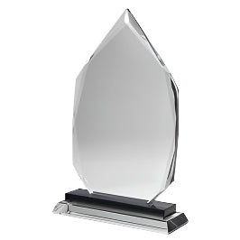 Crystal ARROW Award